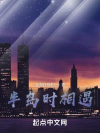 半岛时相遇封面