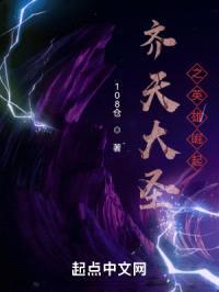 齐天大圣之英雄崛起封面