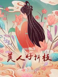美人好折枝封面
