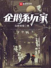 企鹅系玩家封面