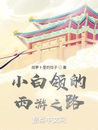小白领的西游之路封面