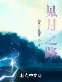 见月之路封面