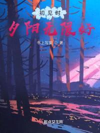 初见时夕阳无限好封面