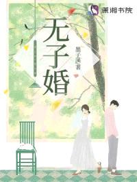 无子婚封面