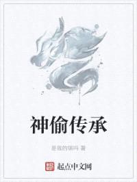神偷传承封面