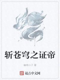 斩苍穹之证帝封面