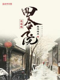 逍遥在四合院封面