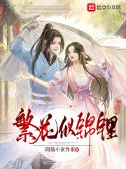 繁花似锦鲤封面