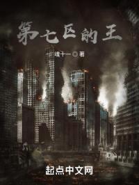 第七区的王封面