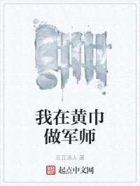 我在黄巾做军师封面