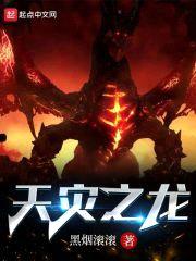 天灾之龙封面