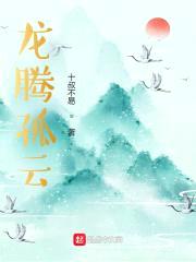 龙腾孤云封面