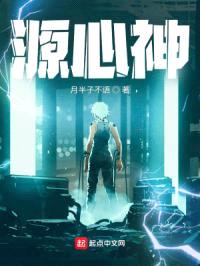 源心神封面