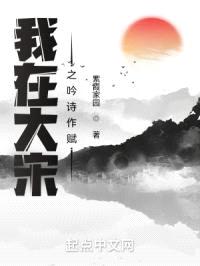 穿越大宋：拯救赵氏封面