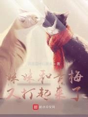 meimei和青梅又打起来了封面