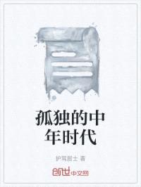 孤独的中年时代封面