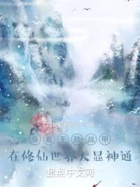 身着无敌战甲在修仙世界大显神通封面