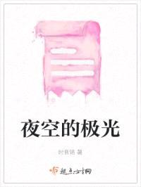 夜空的极光封面