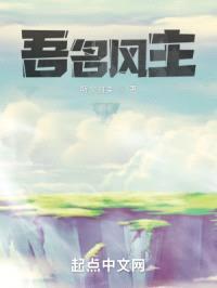 吾名风主封面