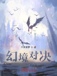 幻境对决封面