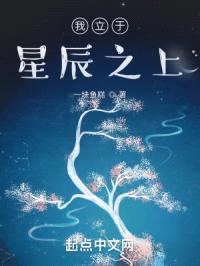 我立于星辰之上封面