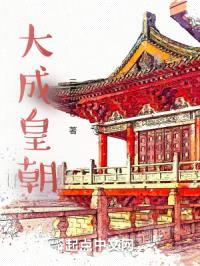 大成皇朝封面