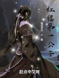 红楼第一公子封面