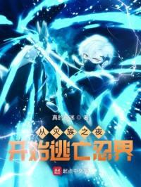 从灭族之夜开始逃亡忍界封面