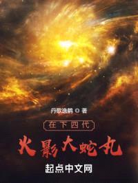 在下四代火影大蛇丸封面