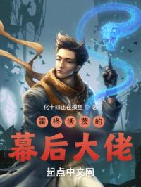 霍格沃茨的幕后大佬封面