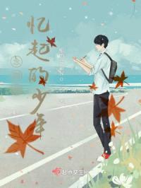 念那时忆起的少年封面