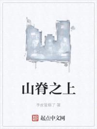 山脊之上封面