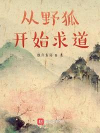 从野狐开始求道封面