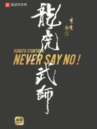 重生香江龙虎武师封面