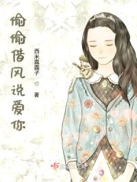 偷偷借风说爱你封面