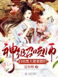 神级召唤师：白切黑大佬要摆烂封面