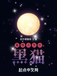 霍格沃茨的黑猫封面