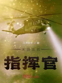 末日反抗指挥官封面