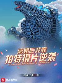 离婚后，我靠拍特摄片逆袭封面