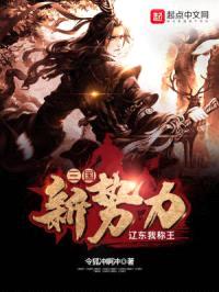 三国新势力：辽东我称王封面