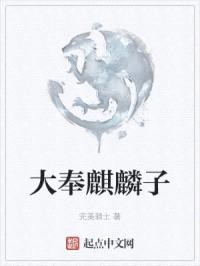 大奉麒麟子封面