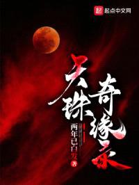 天珠奇缘录封面