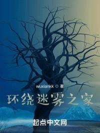 环绕迷雾之家封面