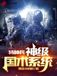 特种兵：神级国术系统封面