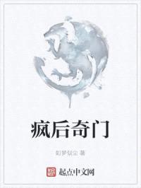 疯后奇门封面