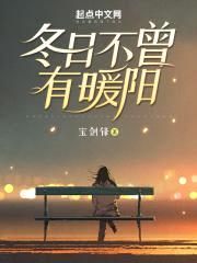 冬日不曾有暖阳封面