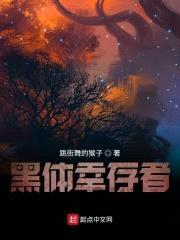 黑体幸存者封面