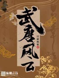 武唐风云封面