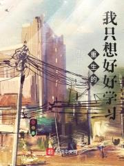 重生的我只想好好学习封面