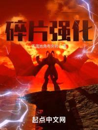 精灵之碎片强化封面